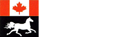 Winwin Security Ltd.